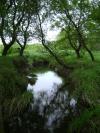 <img100*0:stuff/aj/42000/1283179876.jpg>