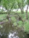 <img100*0:stuff/aj/42000/1283179958.jpg>