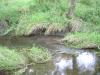 <img100*0:stuff/aj/42000/1283180758.jpg>