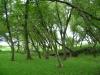 <img100*0:stuff/aj/42000/1283181020.jpg>