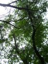<img100*0:stuff/aj/42000/1283181130.jpg>