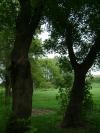 <img100*0:stuff/aj/42000/1283181250.jpg>