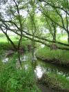 <img100*0:stuff/aj/42000/1283181531.jpg>