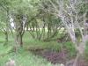 <img100*0:stuff/aj/42000/1283181681.jpg>