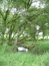 <img100*0:stuff/aj/42000/1283181802.jpg>