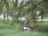 <img100*0:stuff/aj/42000/1283181893.jpg>