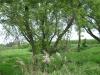 <img100*0:stuff/aj/42000/1283181979.jpg>