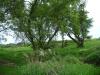 <img100*0:stuff/aj/42000/1283182038.jpg>