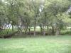<img100*0:stuff/aj/42000/1283182134.jpg>