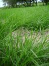 <img100*0:stuff/aj/42000/1283182212.jpg>