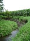 <img100*0:stuff/aj/42000/1283182685.jpg>