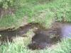 <img100*0:stuff/aj/42000/1283182744.jpg>