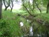 <img100*0:stuff/aj/42000/1283182873.jpg>