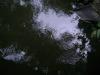 <img100*0:stuff/aj/42000/1283182982.jpg>