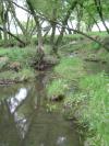 <img100*0:stuff/aj/42000/1283183018.jpg>