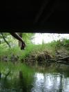 <img100*0:stuff/aj/42000/1283264937.jpg>