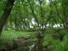 <img100*0:stuff/aj/42000/1283264954.jpg>