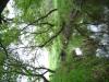 <img100*0:stuff/aj/42000/1283264970.jpg>