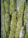 <img100*0:stuff/aj/42000/1283265952.jpg>