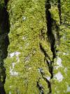 <img100*0:stuff/aj/42000/1283266023.jpg>