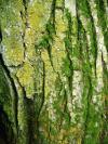 <img100*0:stuff/aj/42000/1283266181.jpg>