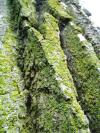 <img100*0:stuff/aj/42000/1283266344.jpg>