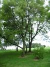 <img100*0:stuff/aj/42000/1283266644.jpg>