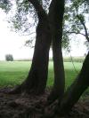<img100*0:stuff/aj/42000/1283266677.jpg>