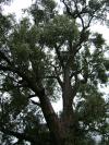 <img100*0:stuff/aj/42000/1283266726.jpg>