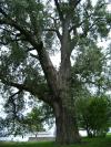 <img100*0:stuff/aj/42000/1283266785.jpg>