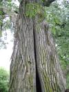 <img100*0:stuff/aj/42000/1283267253.jpg>