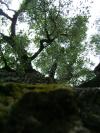 <img100*0:stuff/aj/42000/1283267810.jpg>