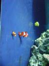 <img100*0:stuff/aj/42000/1283297118.jpg>