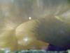 <img100*0:stuff/aj/42000/1283297175.jpg>