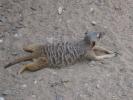 <img0*100:stuff/aj/42000/1307034439.amp>