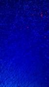 <img100*0:stuff/aj/42000/1307143014.jpg>