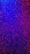 <img100*0:stuff/aj/42000/1307143037.jpg>