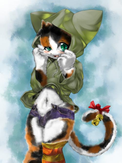 <img500*0:stuff/aj/45072/1246256218.jpg>