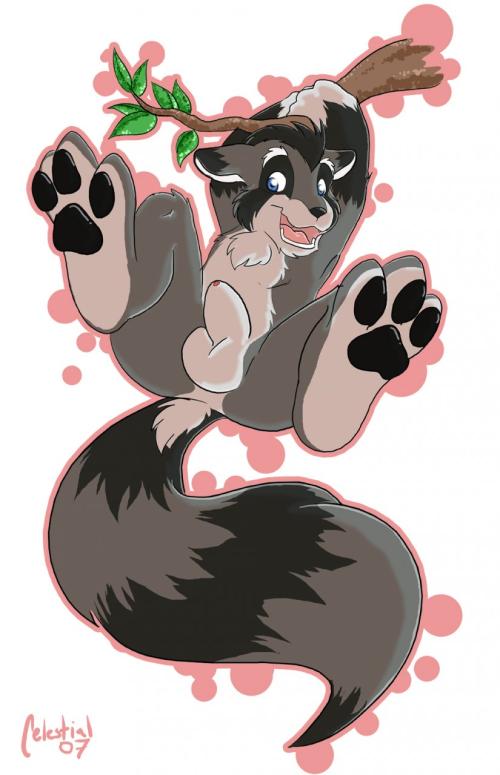 <img500*0:stuff/aj/45072/1246256289.jpg>