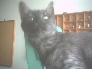 <img300*0:stuff/aj/45154/lilowindow.jpg>