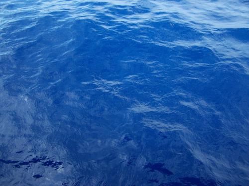 <img500*0:stuff/aj/45322/Into%20the%20deep%20blue.jpg>