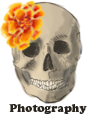 <img:stuff/aj/46887/DDLMFBPhotography.png>