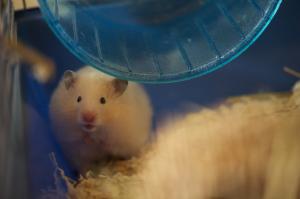<img300*0:stuff/aj/46887/Oona6.jpg>