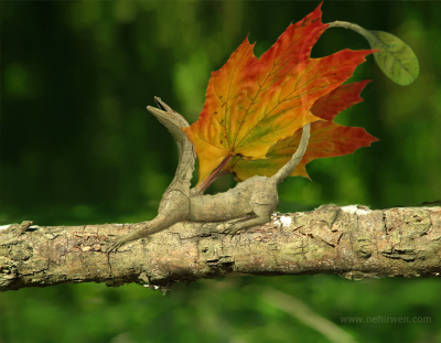 <img400*0:stuff/aj/46887/YawningWoodDragon.png>
