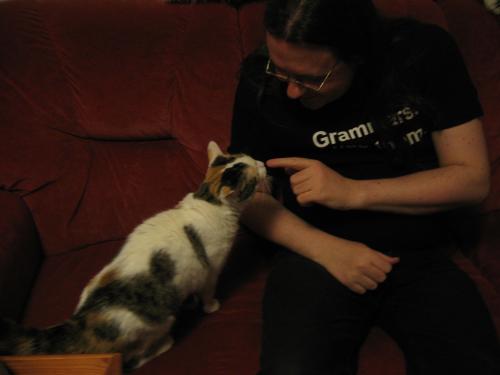 <img500*0:stuff/aj/4731/1277237553.jpg>