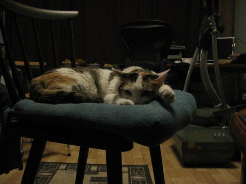 <img500*0:stuff/aj/4731/1277238040.jpg>