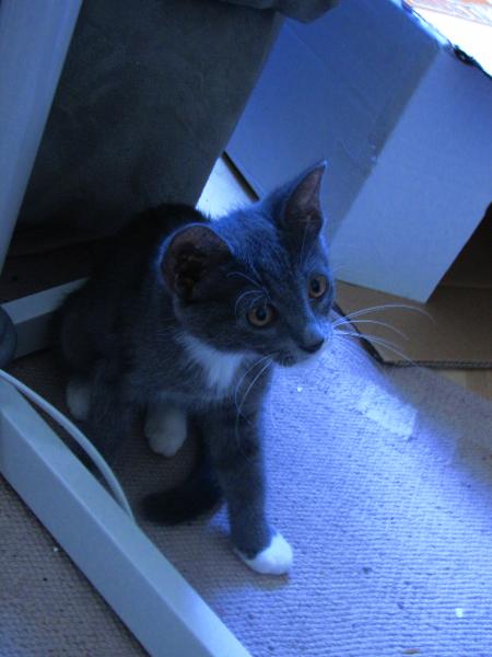 <img450*0:stuff/aj/4731/1280177252.jpg>