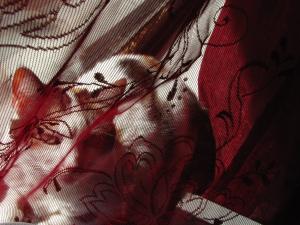 <img300*0:stuff/aj/4731/1341994969.jpg>