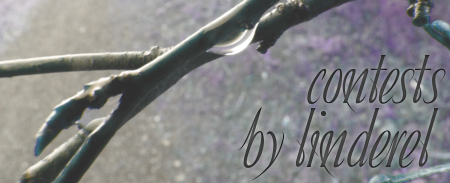 <img:stuff/aj/4731/contestsbylin.png>