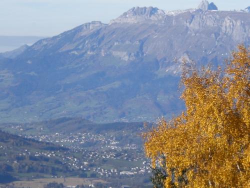 <img500*0:stuff/aj/53760/austria%20in%20autum.jpg>